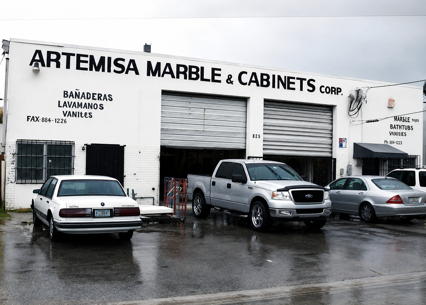 Artemisa Origins